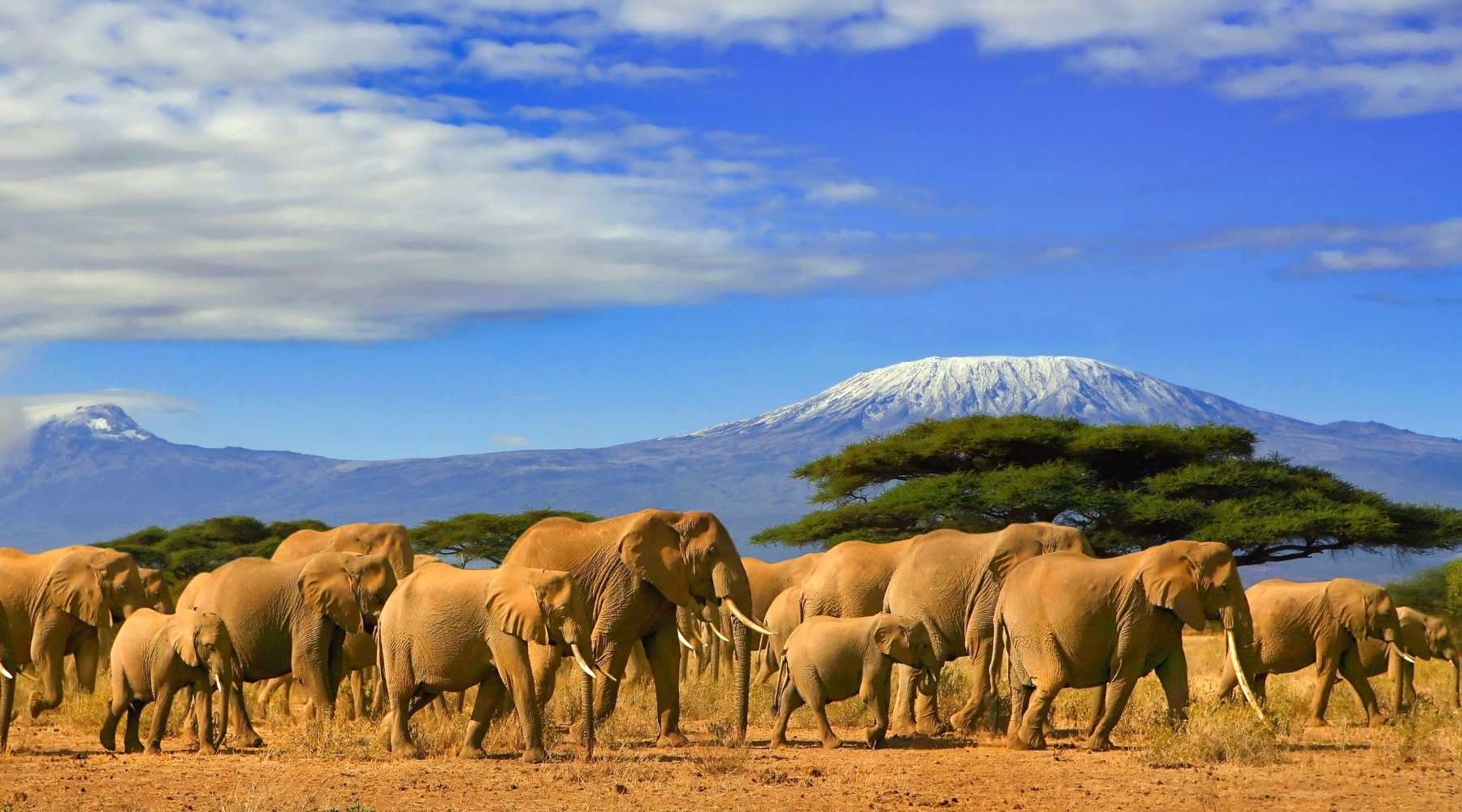 Africa aviation executive services 1