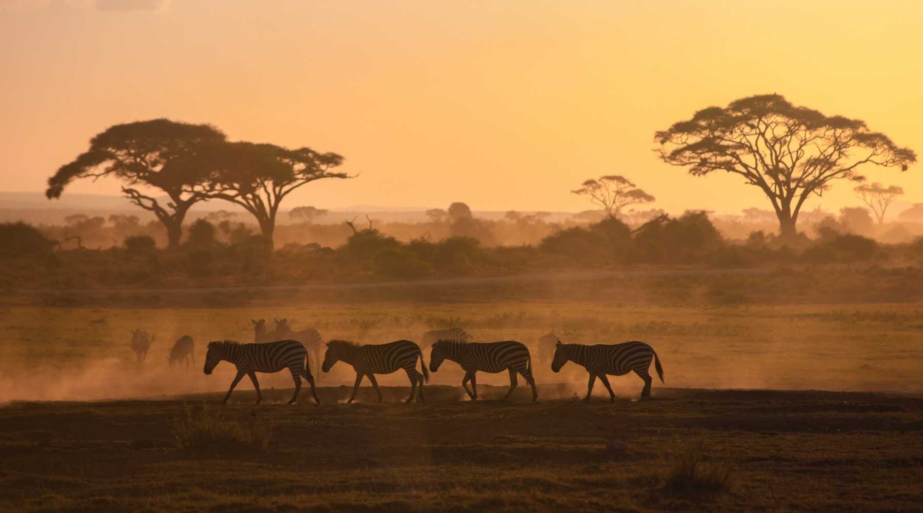 Africa aviation executive services 8