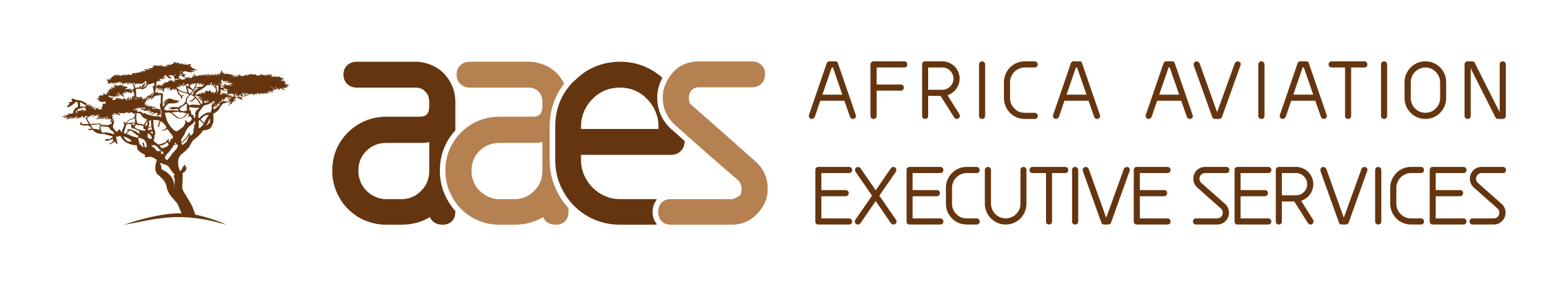 Africa Aviation Executive Services